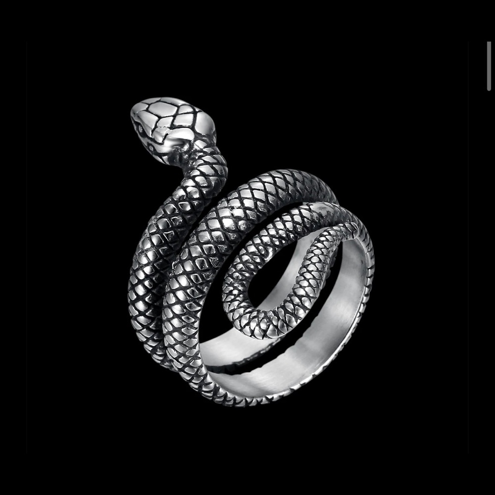 Silver Snake Ring